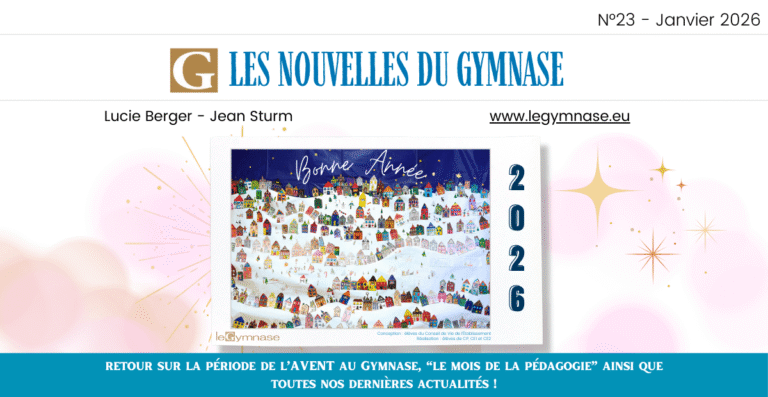 Le Gymnase Jean Sturm/Lucie Berger — Classrooms